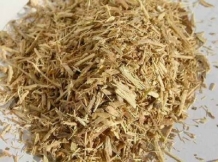 Siberische Ginseng - Eleutherococcus senticosus